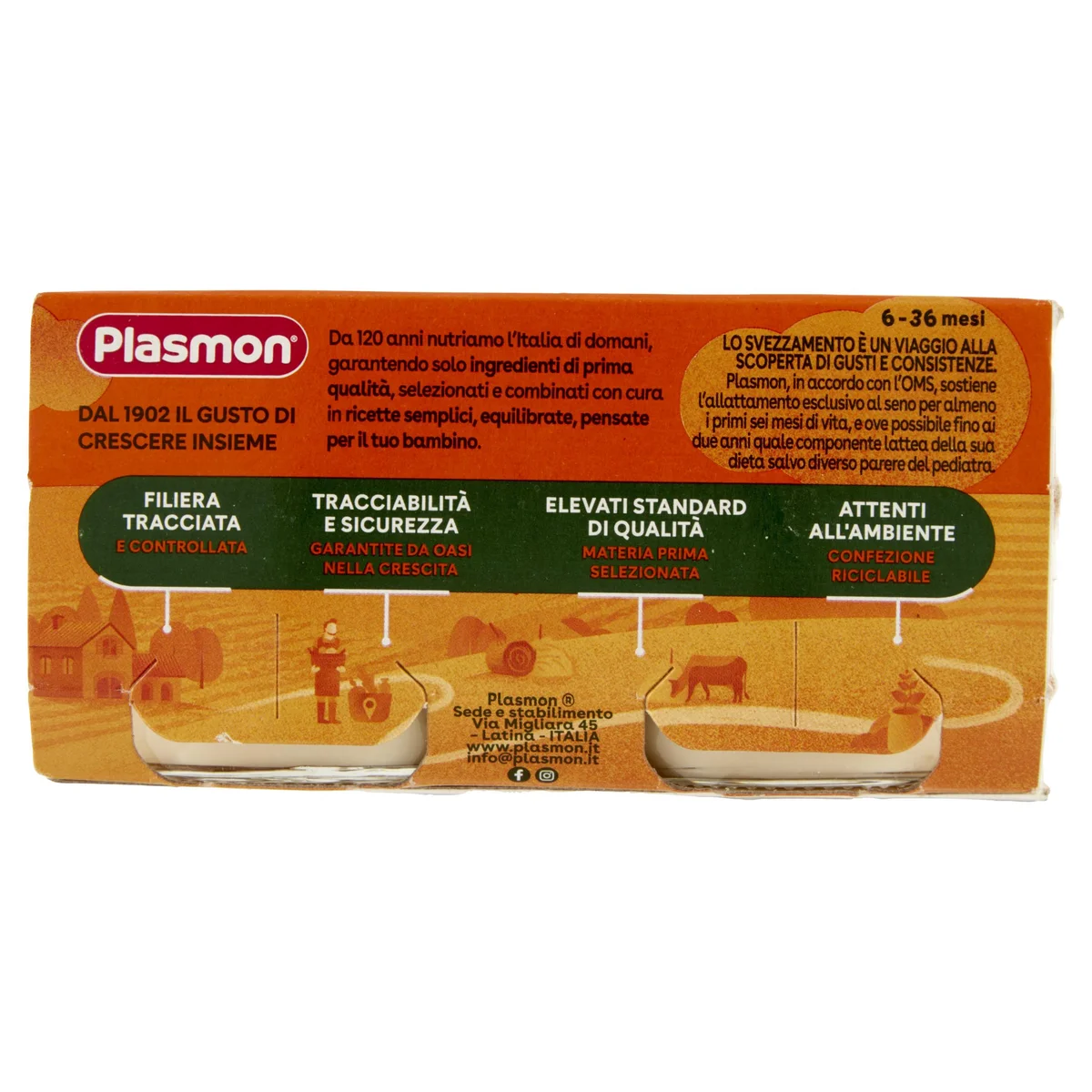 Plasmon Omogeneizzato di pesce orata con patate dal 6° mese 2 x 80 g