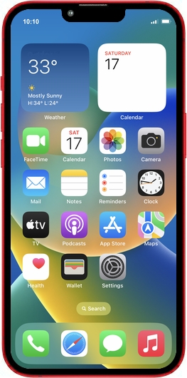 Product Skin