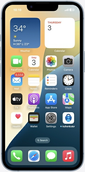 Product Skin
