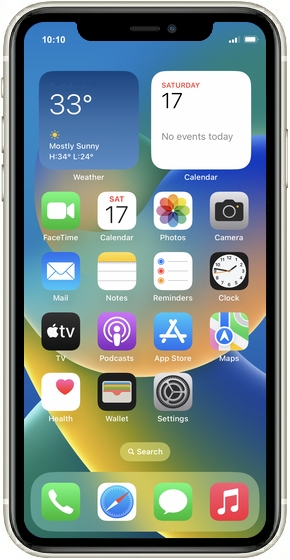Product Skin