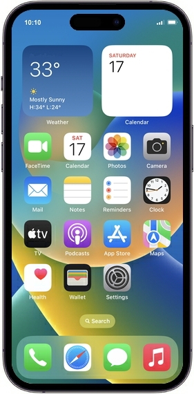 Product Skin