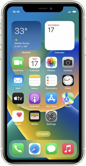 Product Skin